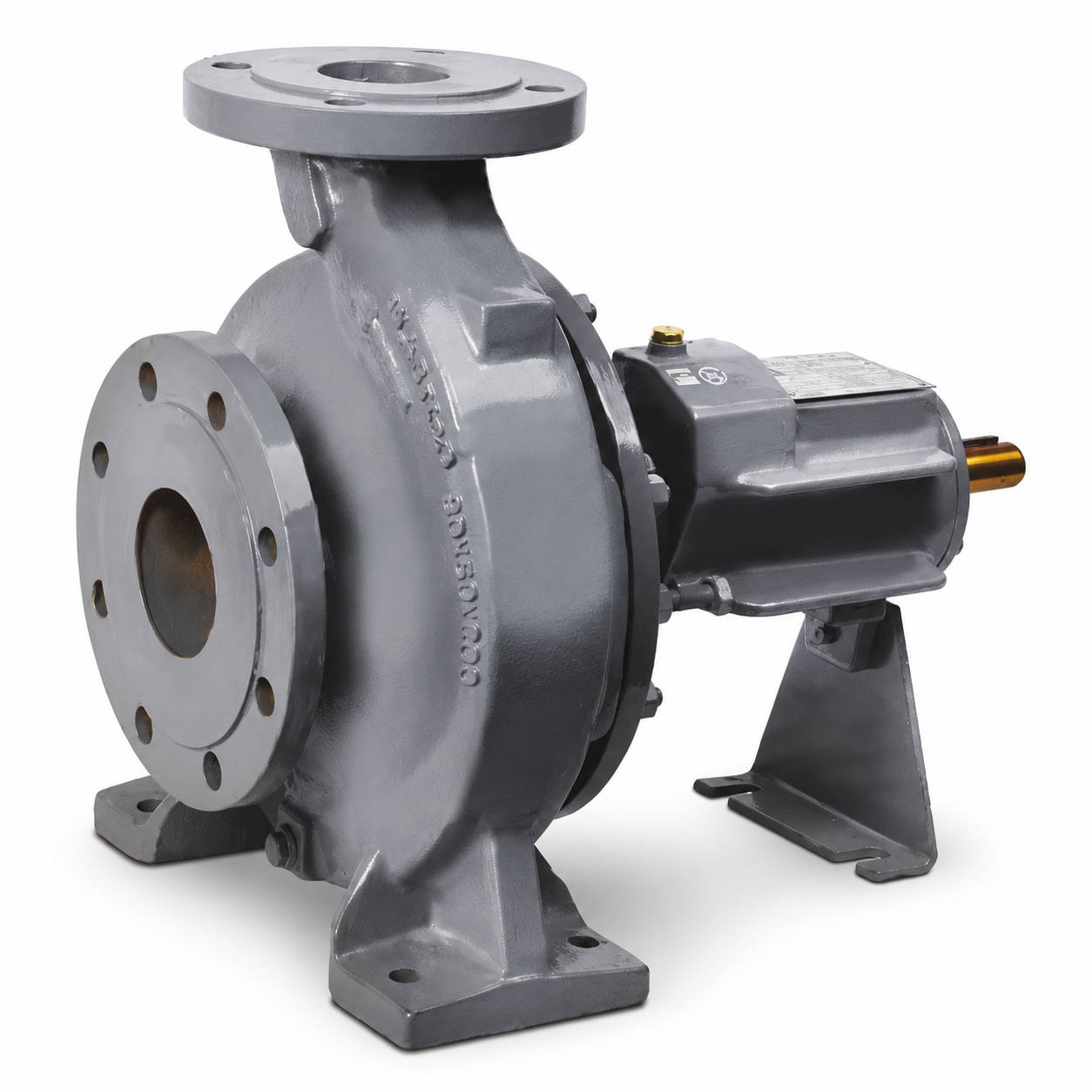 Thermic Fluid Hot Oil Pump